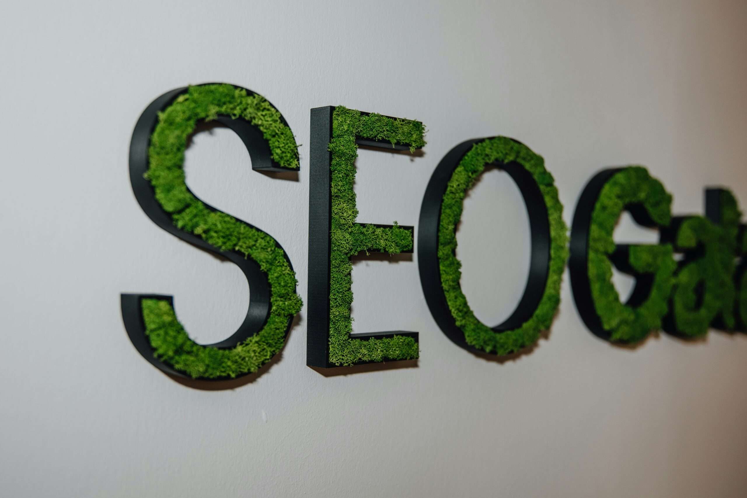 10 Comprehensive Guide on Seo