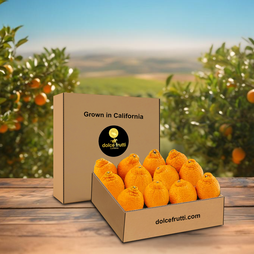 minneola tangelos