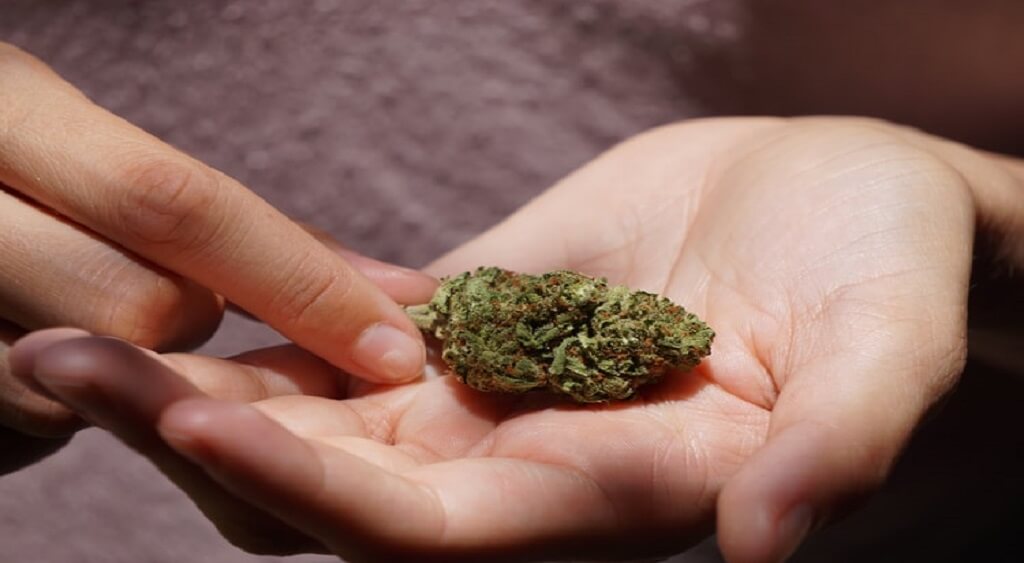 Mississauga Same Day Weed Delivery