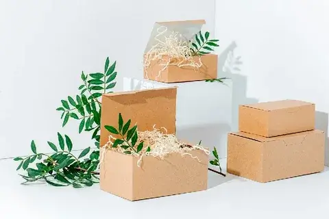 Custom CBD Boxes: Why Smart packaging matters