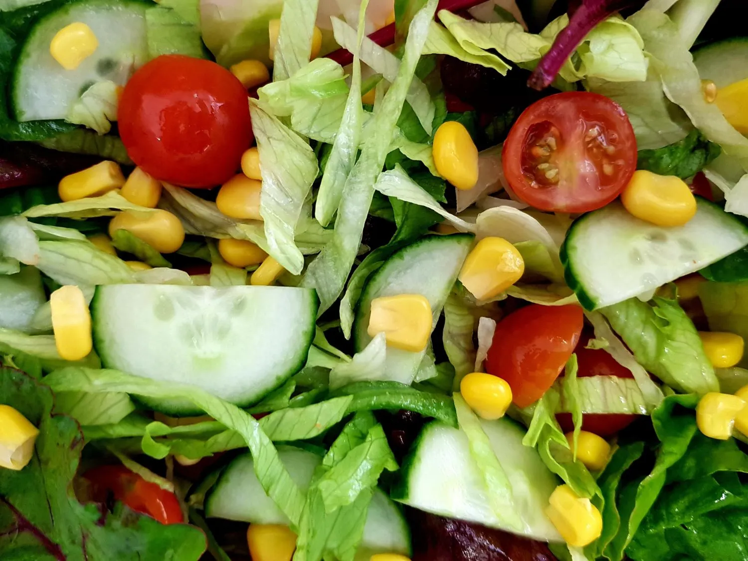 Salad Eateries in Los Angeles: Where Freshness, Flavor, and Health Come Together