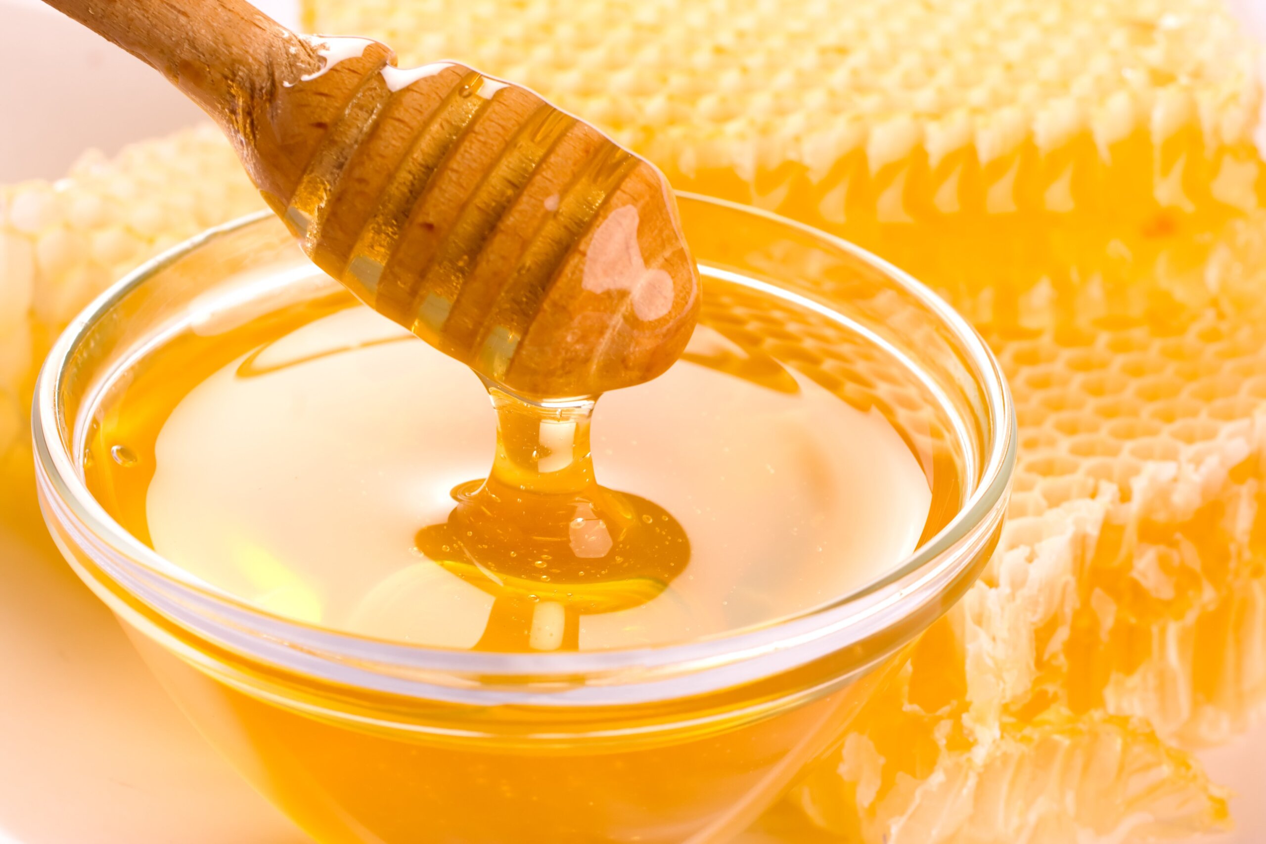 Why Premium Raw Honey Is Better for Your Health Than Processed Honey