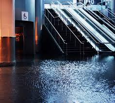 water restoration companies