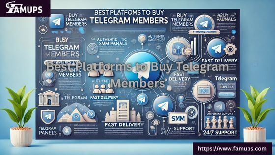3 Best Platforms to Buy Telegram Members and Boost Your Channel Fast
