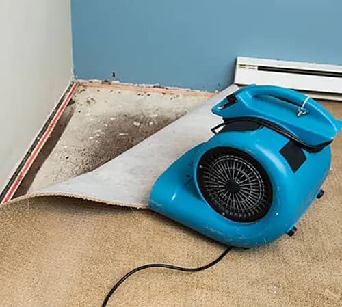 What Should You Do First After a Commercial Flood?