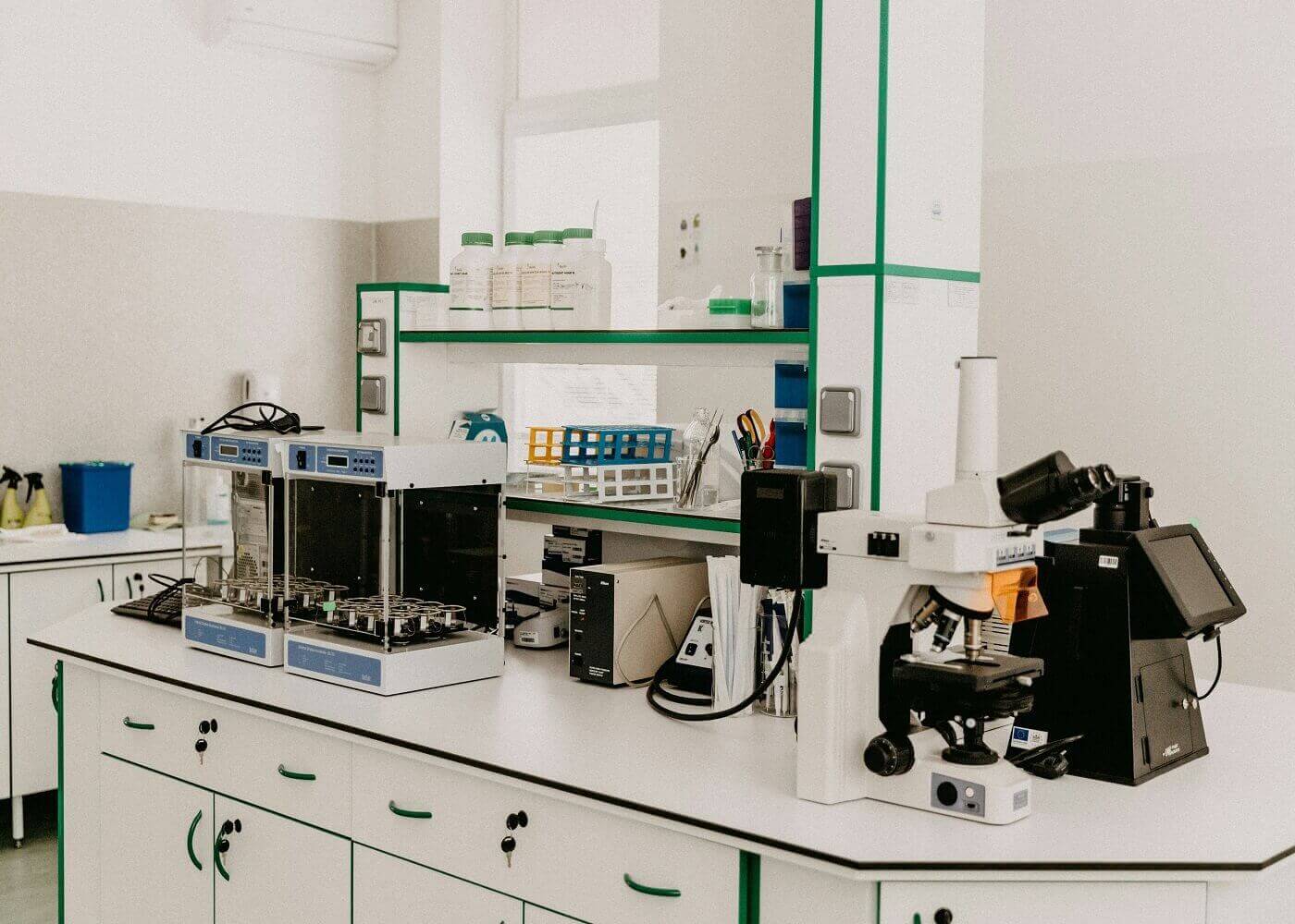 Formulation Development in Cosmetics: Ensuring Efficacy, Safety, and Market Success